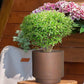 IDEALIST Lite Hammered Stone Cylinder Outdoor Planter