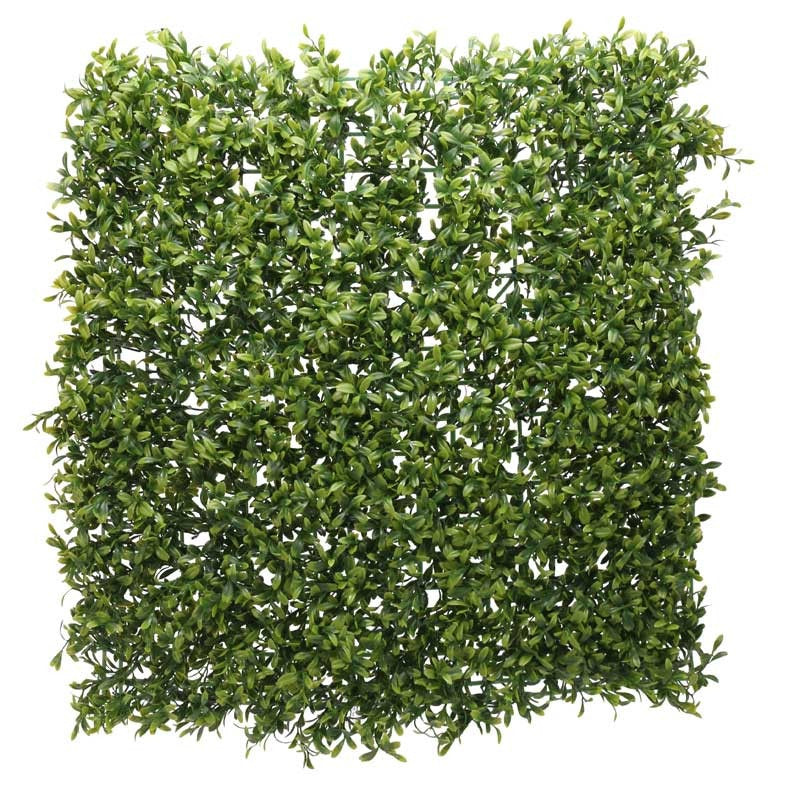 Green Plant Wall (50 x 50cm) - citiplants.com
