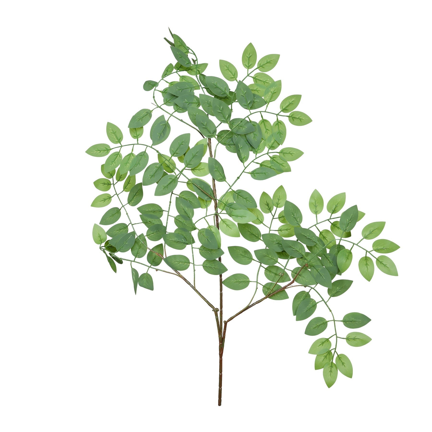 Essential Green Wisteria Leaves - citiplants.com