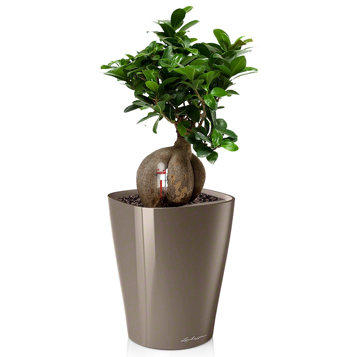 LECHUZA MINI DELTINI Metallic Poly Resin Table Self-watering Planter with Substrate and Water Level Indicator - citiplants.com