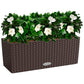 LECHUZA BALCONERA Cottage Self-watering Window Box Plant Pot with Substrate and Water Level Indicator - citiplants.com