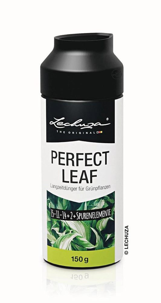 LECHUZA Perfect Leaf 150g (7x) - citiplants.com