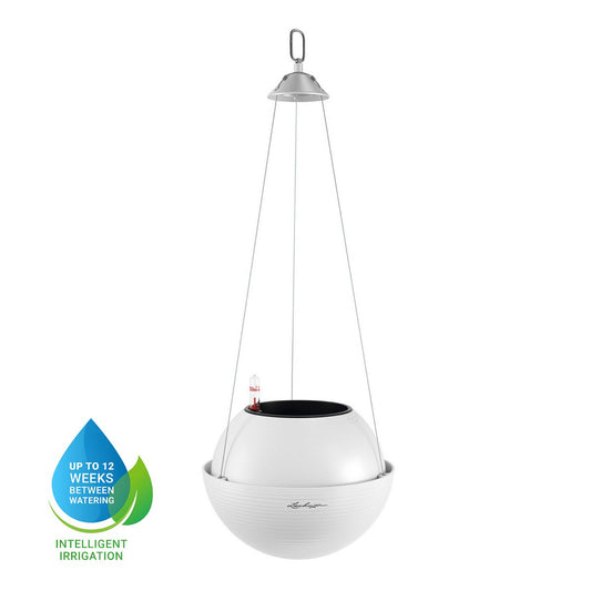 LECHUZA BOLA Color Self-watering Hanging Planter Poly Resin Plant Pot with Substrate and Water Level Indicator - citiplants.com