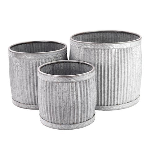 Low Dolly (Set of 3) Deco Rim - citiplants.com