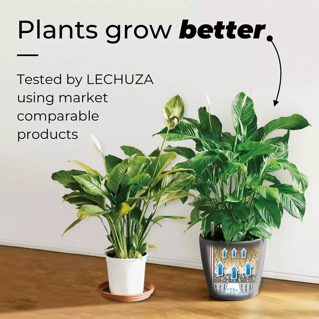 LECHUZA MINI DELTINI Metallic Poly Resin Table Self-watering Planter with Substrate and Water Level Indicator - citiplants.com