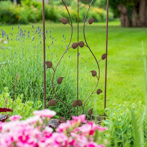 Bird Leaf Trellis - citiplants.com