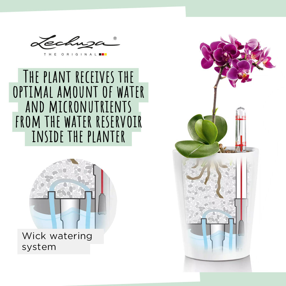 LECHUZA MINI DELTINI Metallic Poly Resin Table Self-watering Planter with Substrate and Water Level Indicator - citiplants.com