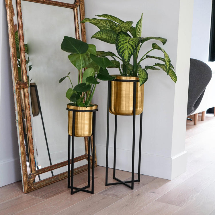 Calla Planter Stand - citiplants.com