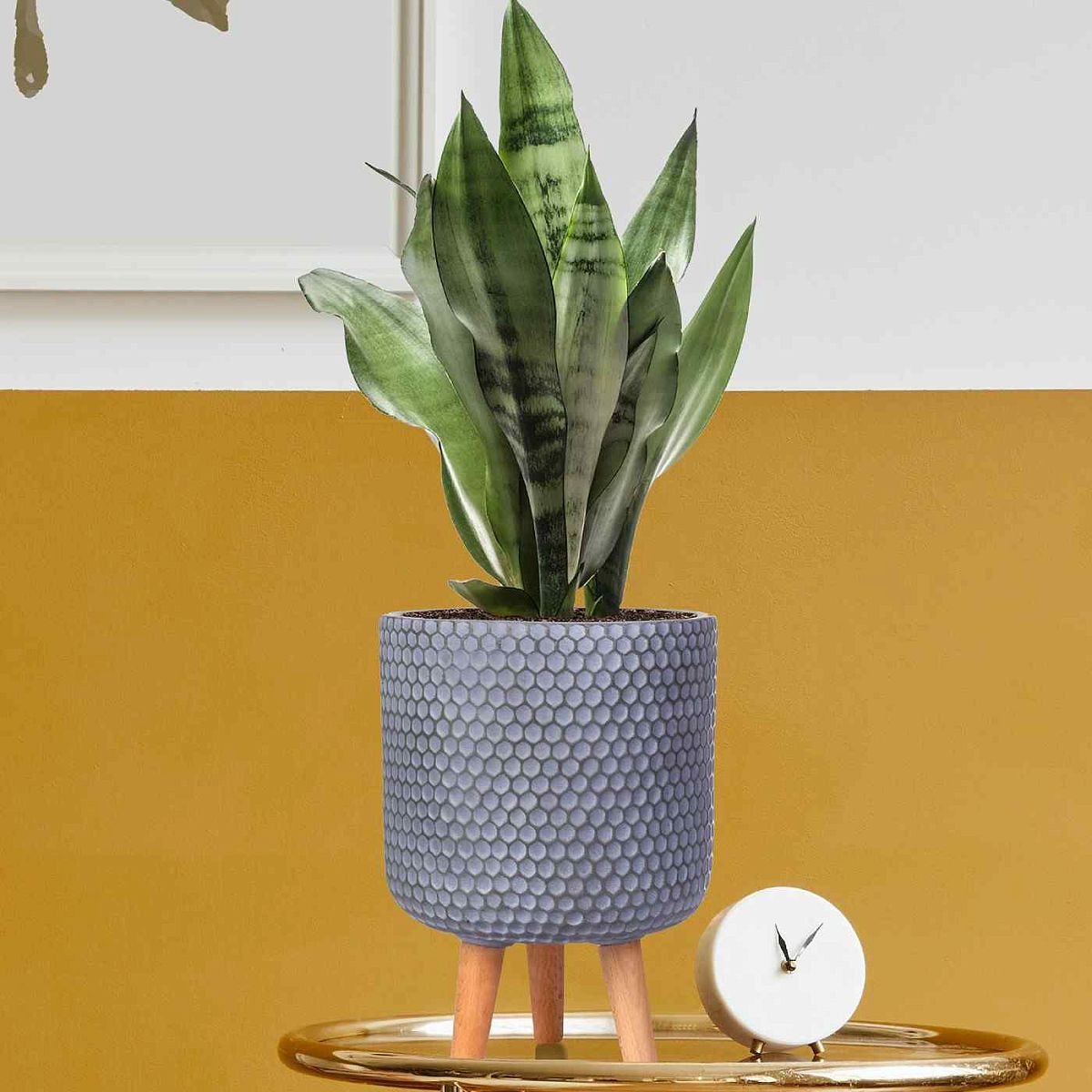 IDEALIST Lite Honeycomb Style Cylinder Planter on Legs