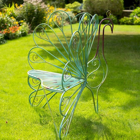 Peacock Chair - citiplants.com