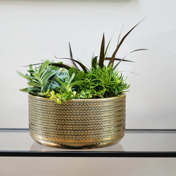 Solis Embossed Bowl - citiplants.com