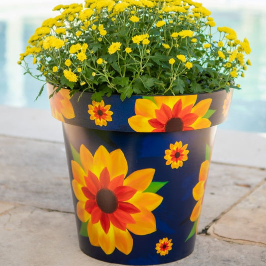 Zest Pot - Sunflower - citiplants.com