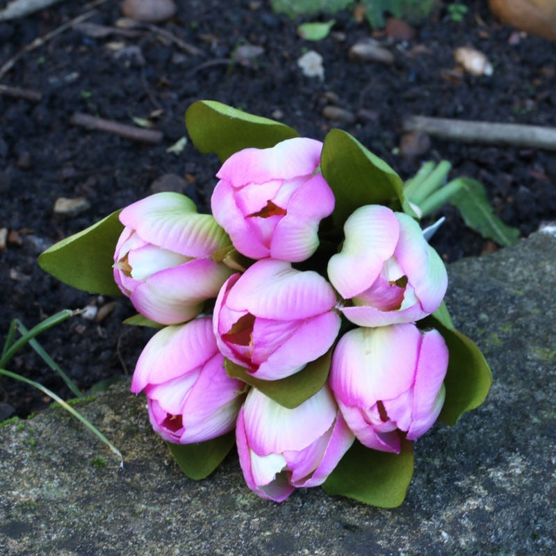 Tulip Bunch Fuschia - citiplants.com