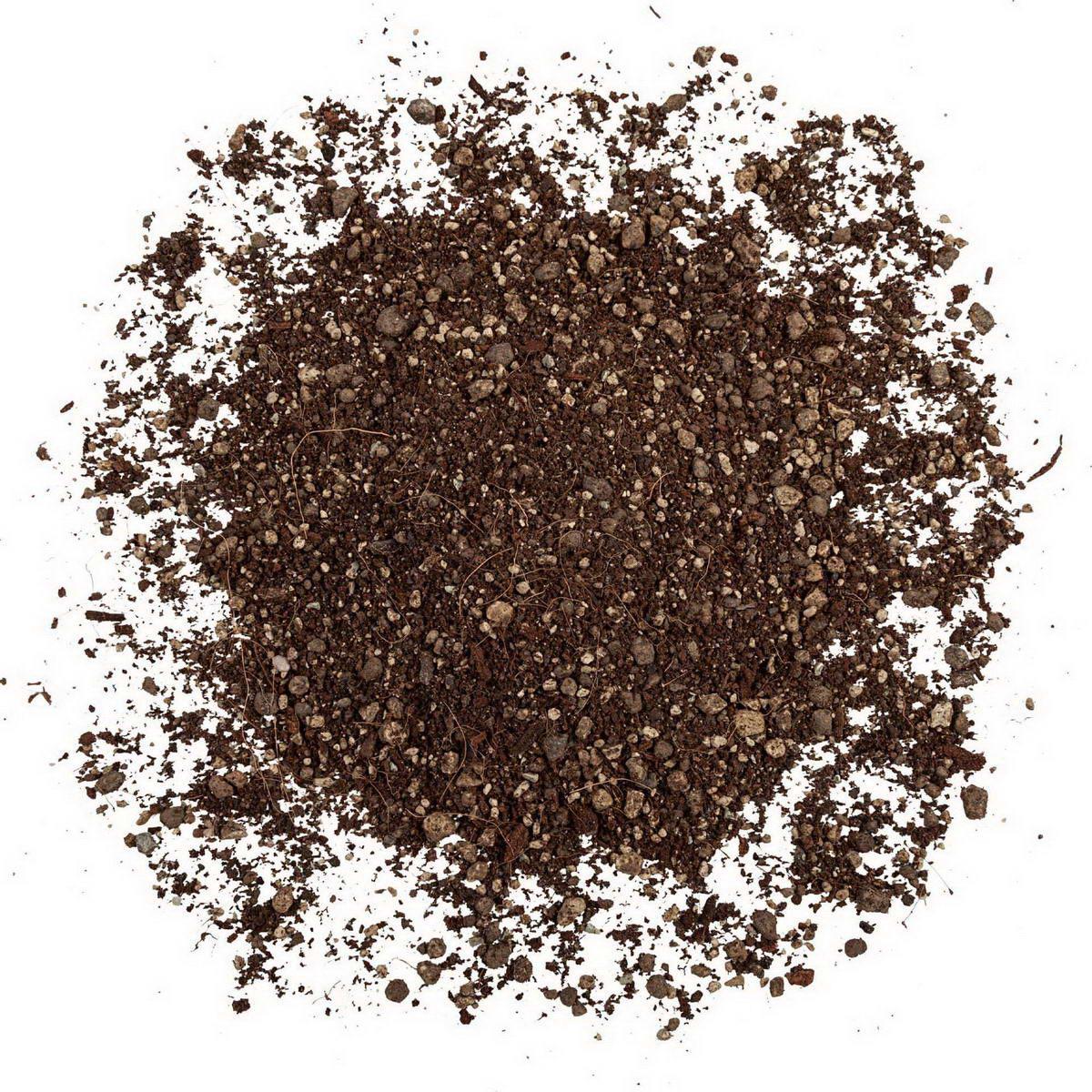 LECHUZA TERRAPON Peat-Free Soil for Outdoor Plants Perlite Potting Compost - citiplants.com