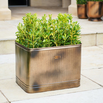 Outdoor Hampton Rectangular Metal Planter - citiplants.com