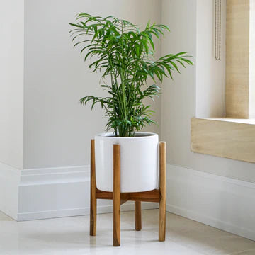 Anzio Warm Grey Planter with Wooden Stand