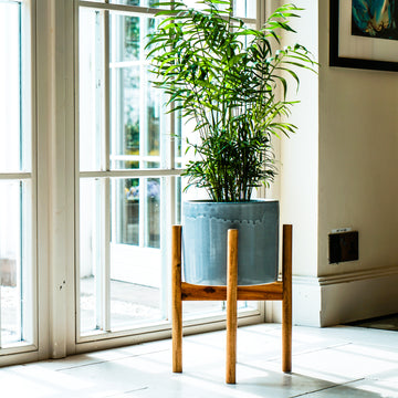 Anzio Warm Grey Planter with Wooden Stand - citiplants.com
