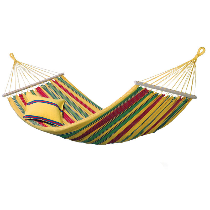 Aruba Vanilla Hammock - citiplants.com