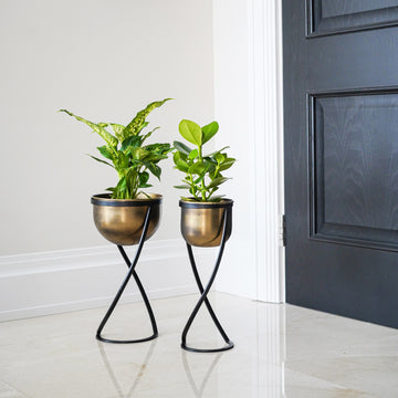 Indoor Kensington Brass Metal Round Planter on Stand - citiplants.com