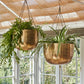 Indoor Mayfair Hanging Planter - citiplants.com