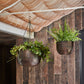 Indoor Mayfair Hanging Planter - citiplants.com
