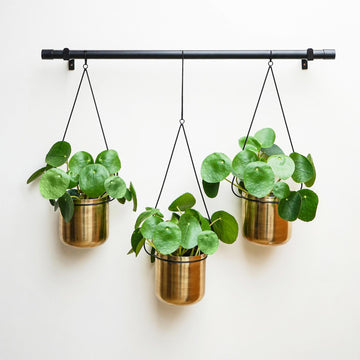 Linear Hanging Planters - citiplants.com