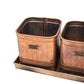 Outdoor Hampton Copper Set of 3 Herb Planters With Tray - citiplants.com