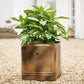 Outdoor Hampton Square Metal Planter - citiplants.com