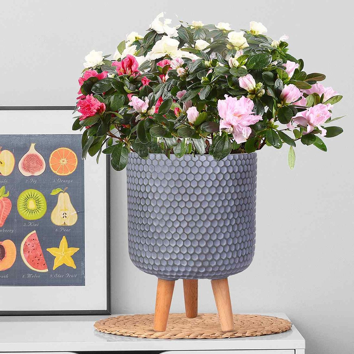 IDEALIST Lite Honeycomb Style Cylinder Planter on Legs