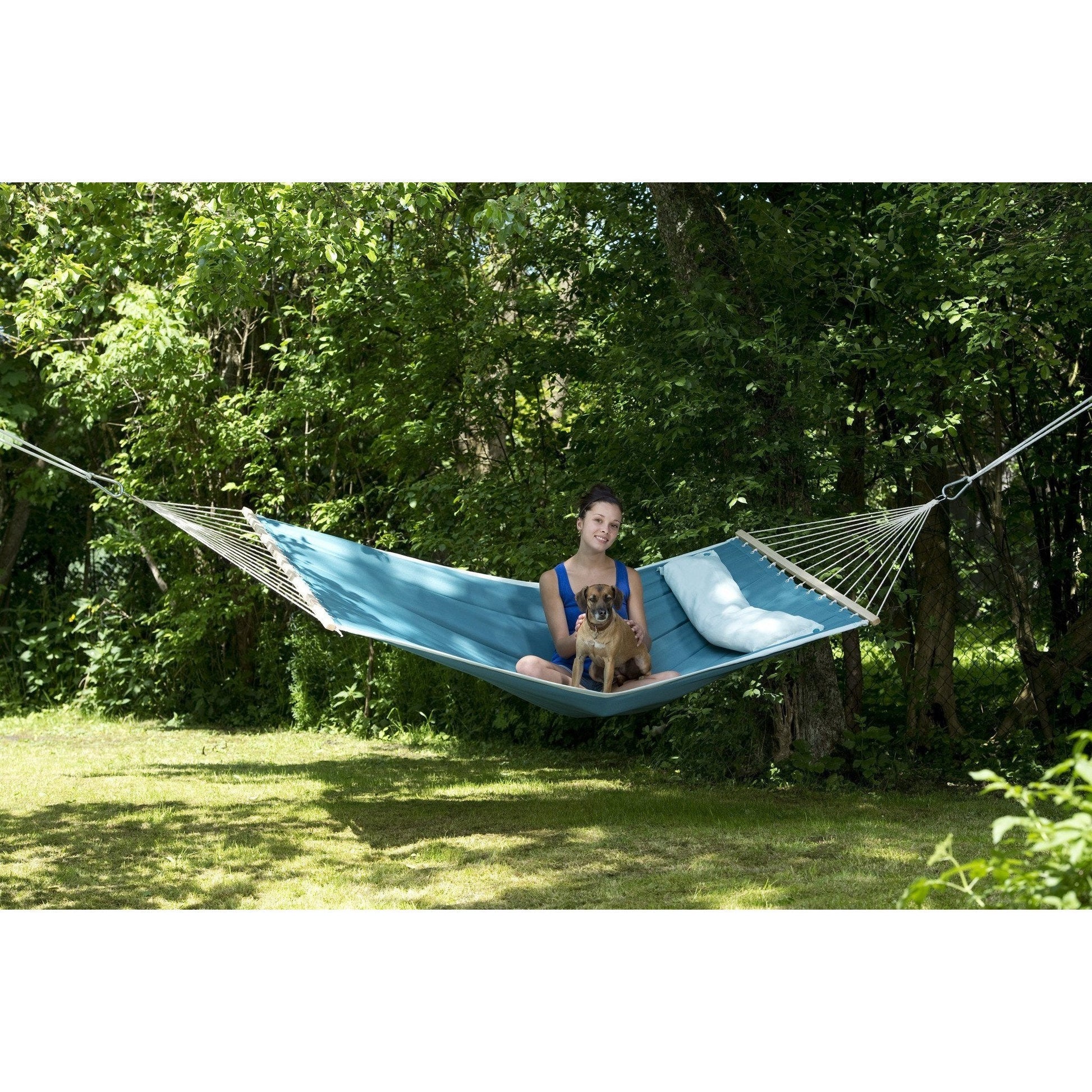 American Dream Petrol Hammock - citiplants.com