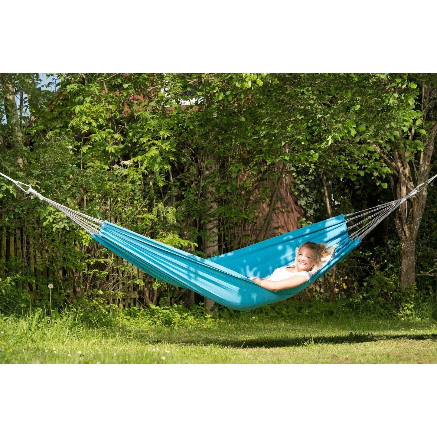 Florida Aqua Hammock - citiplants.com