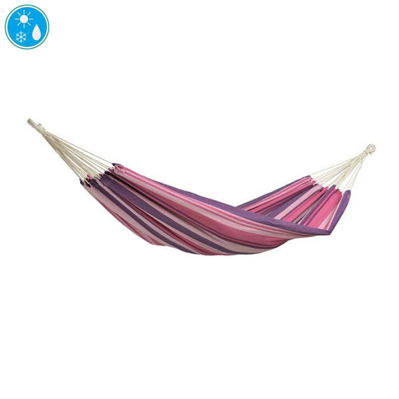 Tahiti Candy Hammock - citiplants.com