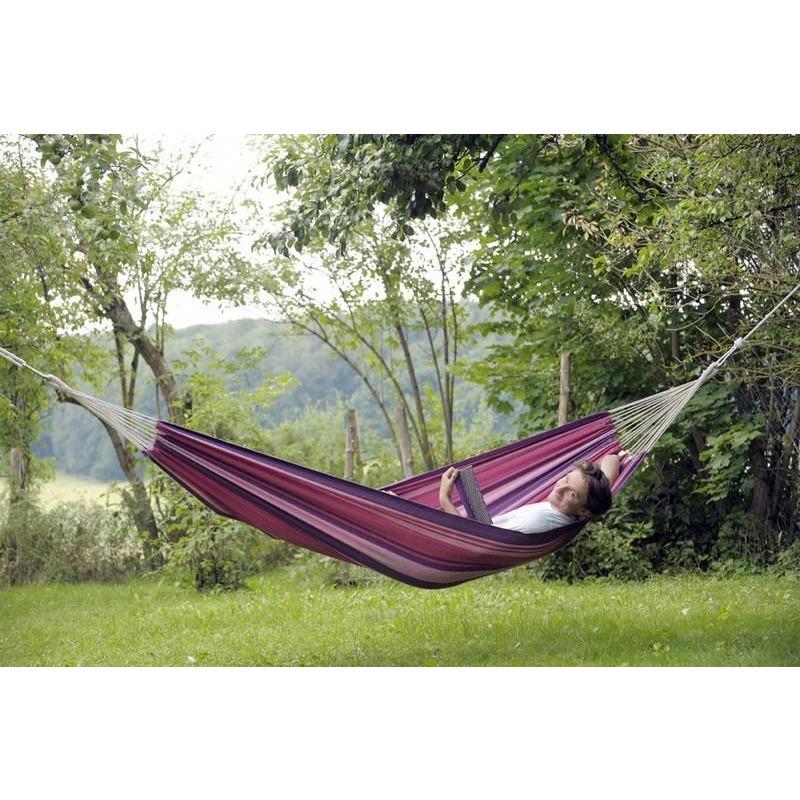 Tahiti Candy Hammock - citiplants.com