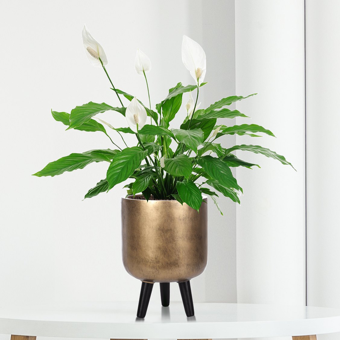 IDEALIST Lite Concrete Effect Round Planter on Legs, Round Pot Plant Stand Indoor