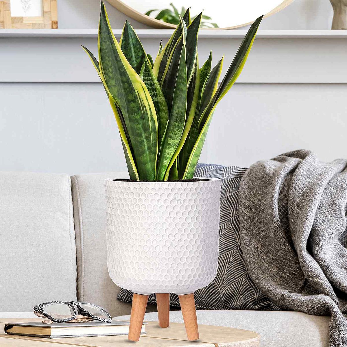 IDEALIST Lite Honeycomb Style Cylinder Planter on Legs