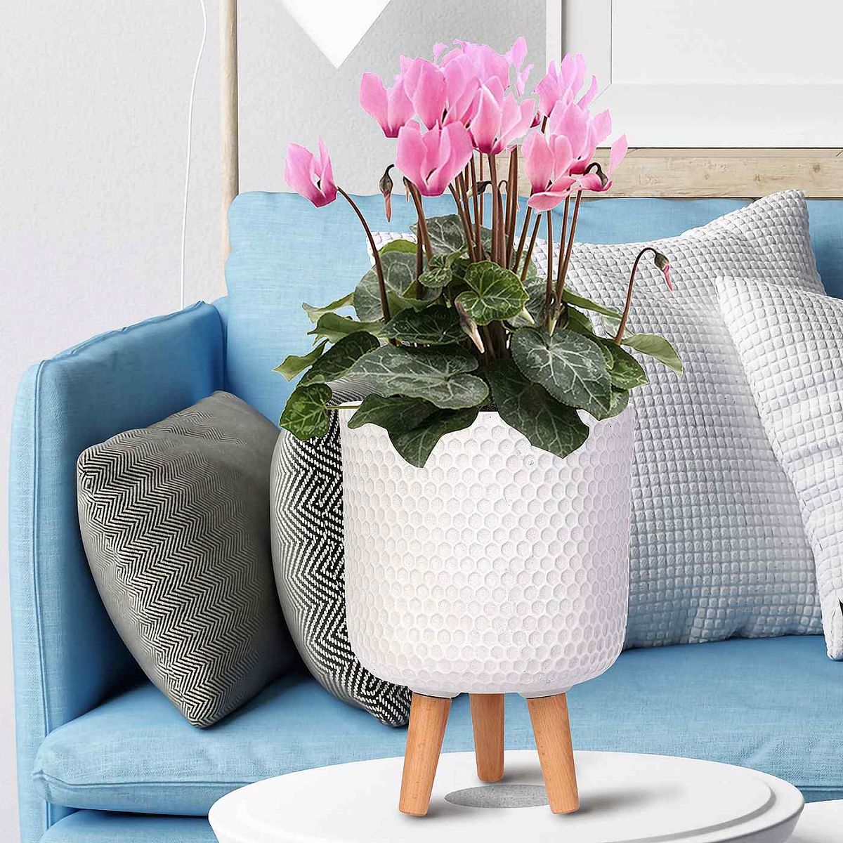 IDEALIST Lite Honeycomb Style Cylinder Planter on Legs