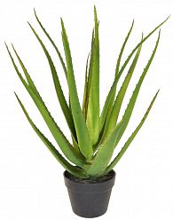 Aloe with Pot Artificial Flower Plant - citiplants.com