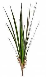 Grass-Reed Artificial Grass Plant - citiplants.com