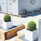 Square Box Contemporary White Light Concrete Planter by IDEALIST Lite H25 L25 W25 cm, 16L - citiplants.com