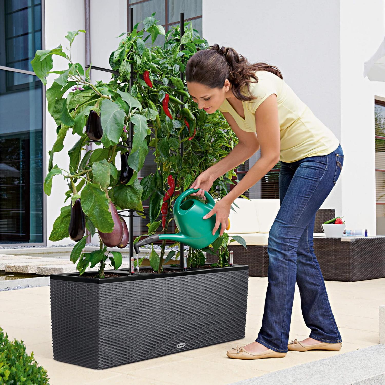 Set of LECHUZA TRIO Cottage 30 Granite Poly Resin Floor Self Watering Planter with Substrate L100 W32 H34 cm, 3x14L + Trellis - citiplants.com