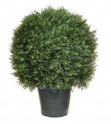 Topiary Cedar Ball UV-resistant Artificial Bush Plant - citiplants.com