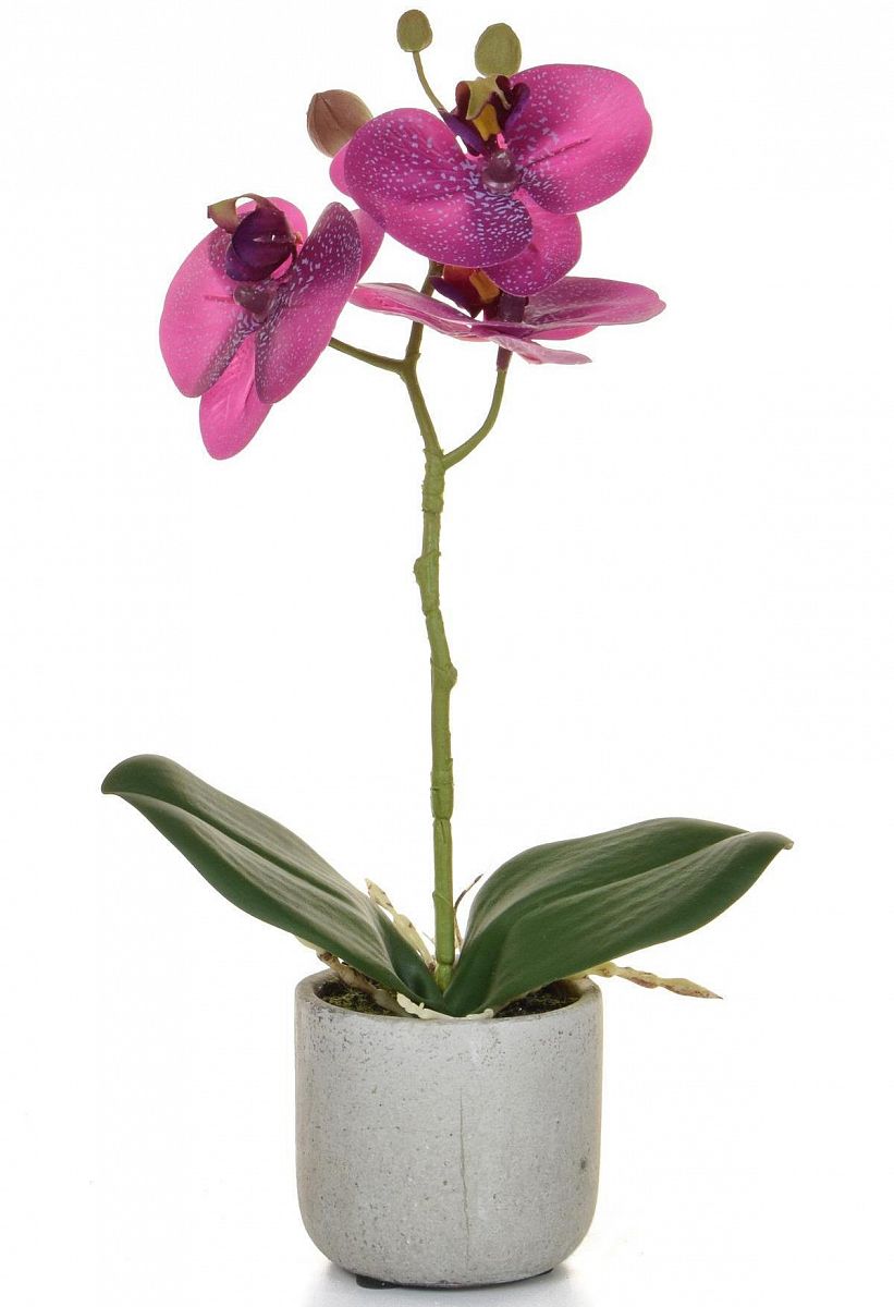 AN-Phalaenopsis Real Touch in Pot Purple Artificial Flower Plant - citiplants.com