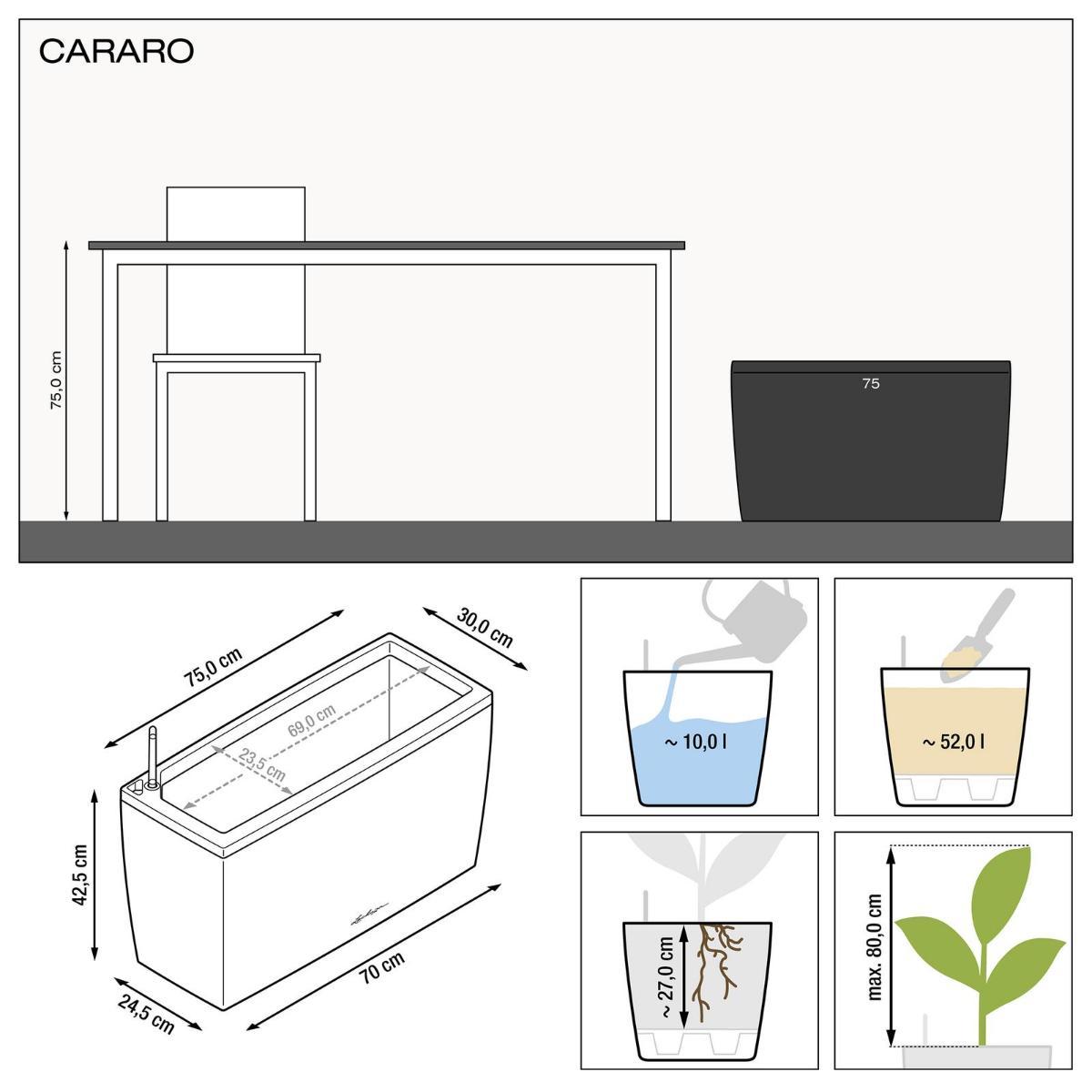 LECHUZA CARARO 75 Black High-gloss Poly Resin Floor Self-watering Planter with Substrate and Water Level Indicator H43 L75 W30 cm, 97L - citiplants.com