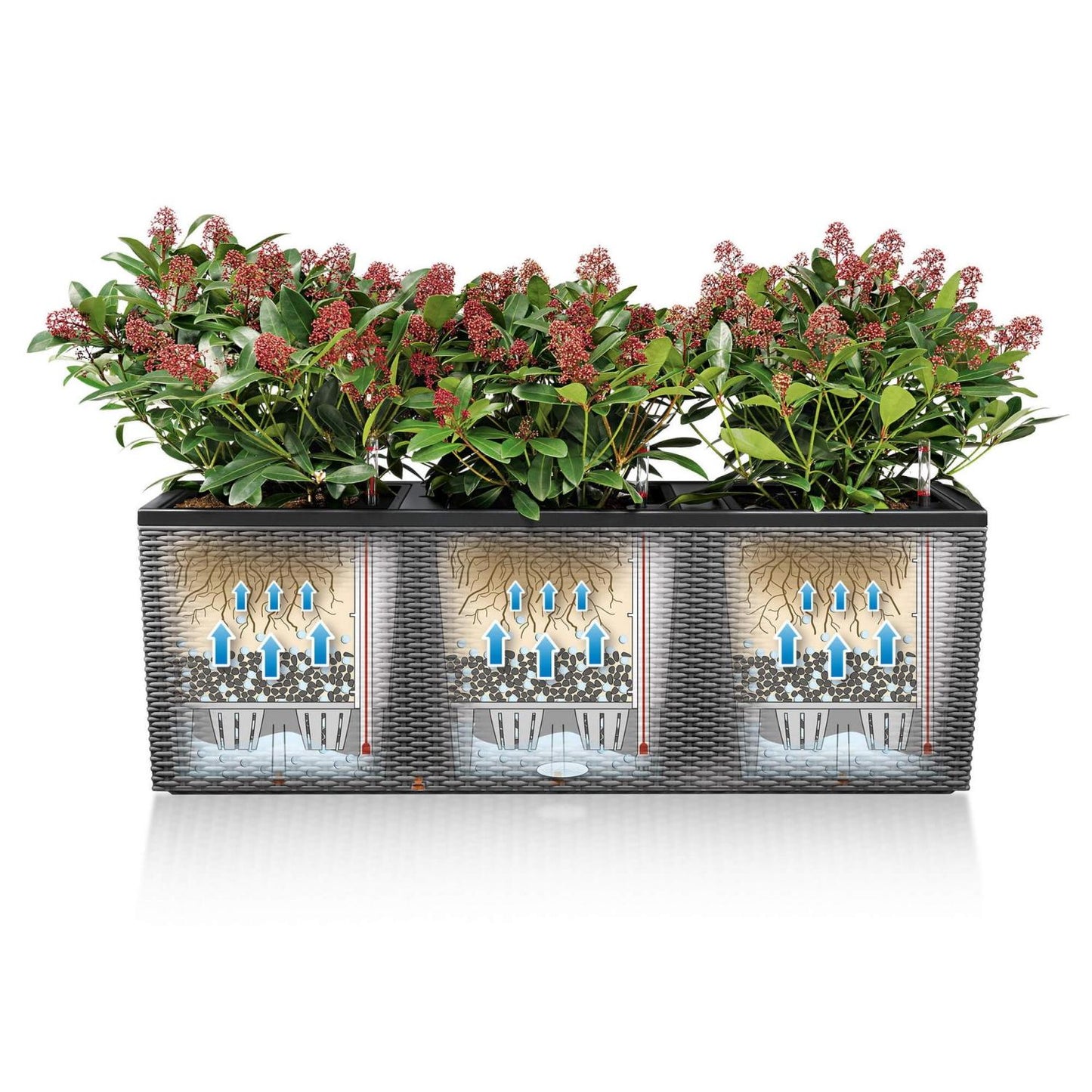 LECHUZA TRIO Cottage 30 White Floor Self-watering Planter Plant Pot with Substrate and Water Level Indicator H34 L100 W32 cm, 3x14L - citiplants.com