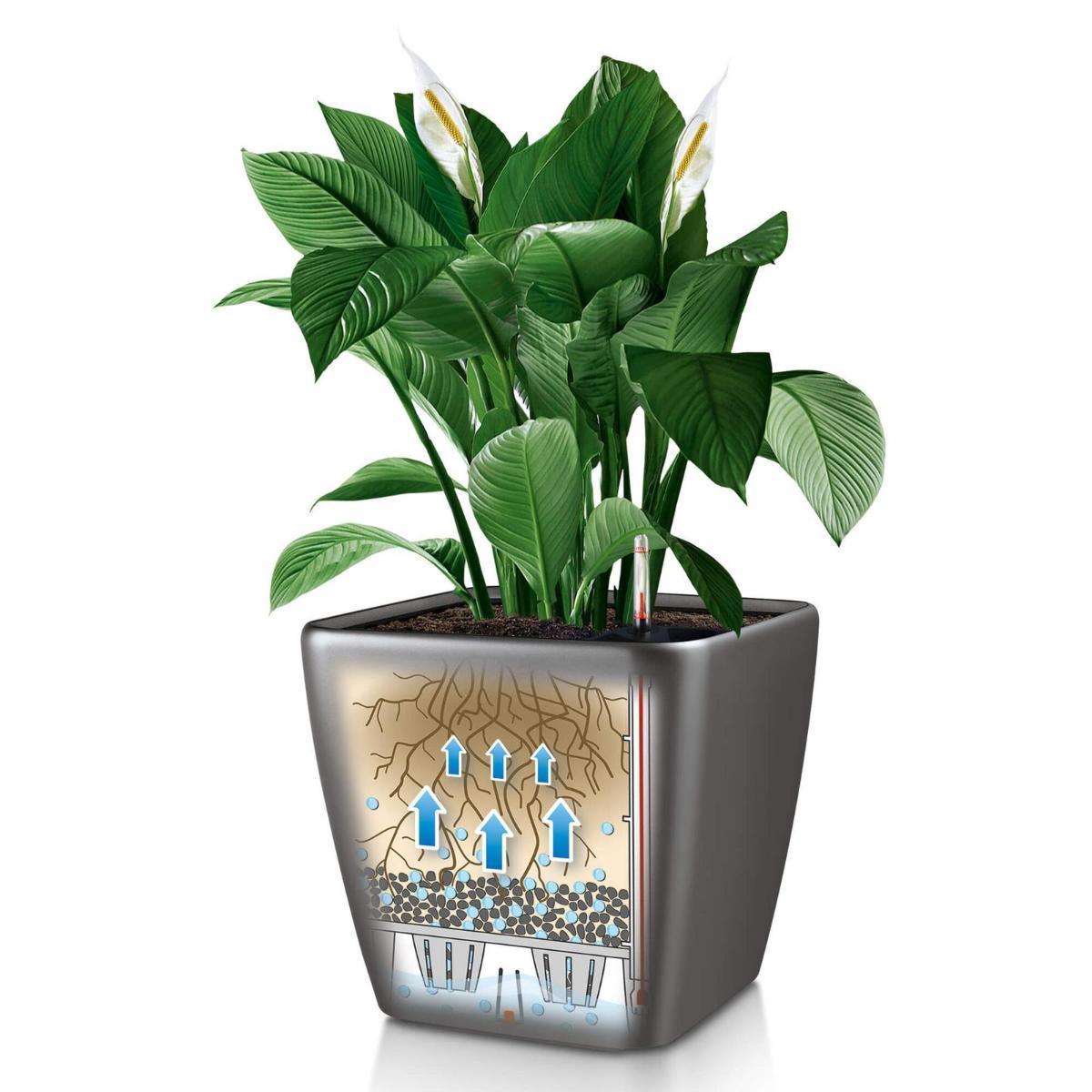 Set of two LECHUZA CUBICO Color Slate Self Watering Planters Indoor/Outdoor Flower Pots: L22 W22 H41 cm, 6 litres Cap + L30 W30 H56 cm, 14 litres Cap - citiplants.com