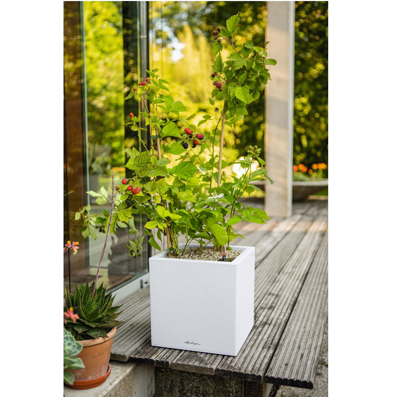 LECHUZA CANTO Stone 30 Low Graphite Black Poly Resin Floor Self-watering Planter with Substrate and Water Level Indicator H30 L30 W30 cm, 12L - citiplants.com