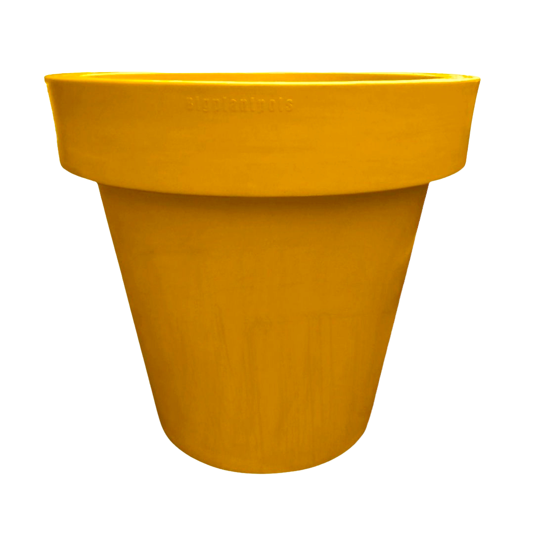 Jumbo Classic Flower Pot - approx 1m wide 1m deep - citiplants.com