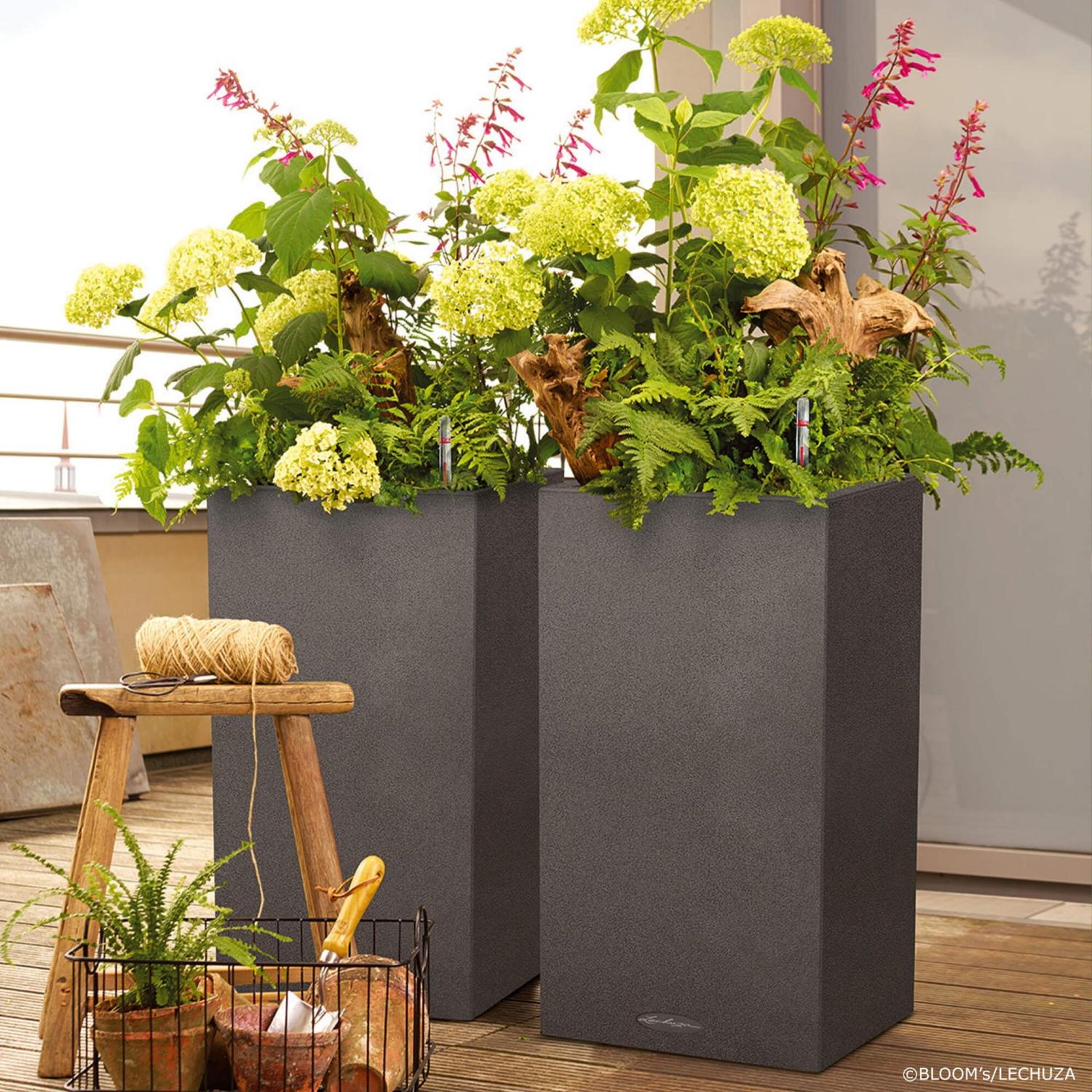 Set of two LECHUZA CANTO Stone Graphite Black Low and High Self Watering Planters: L30 W30 H30 cm, 12 litres Cap + L30 W30 H56 cm, 29 litres Cap - citiplants.com