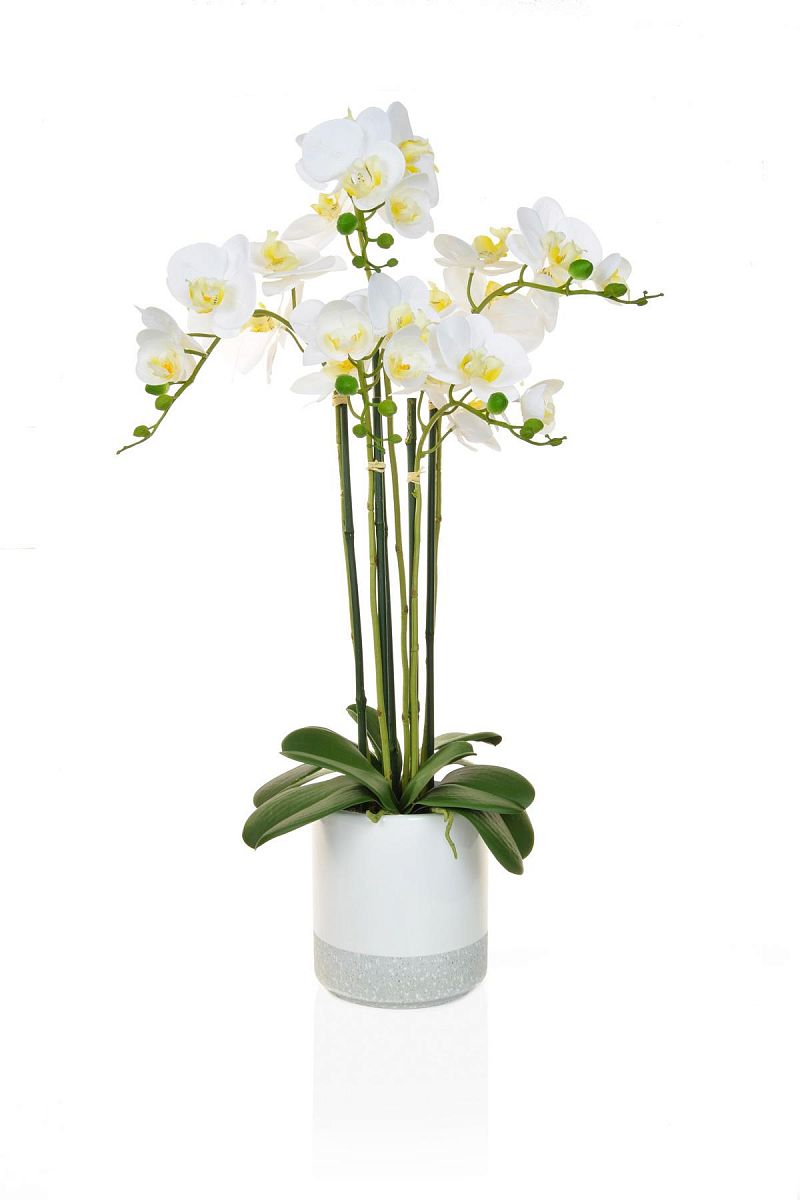 AN-Phalaenopsis Real Touch in Pot White Artificial Flower Plant - citiplants.com