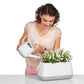 LECHUZA YULA Flower White/Green Semi-Gloss Poly Resin Table Planter Only H21 L14 W14 cm - citiplants.com